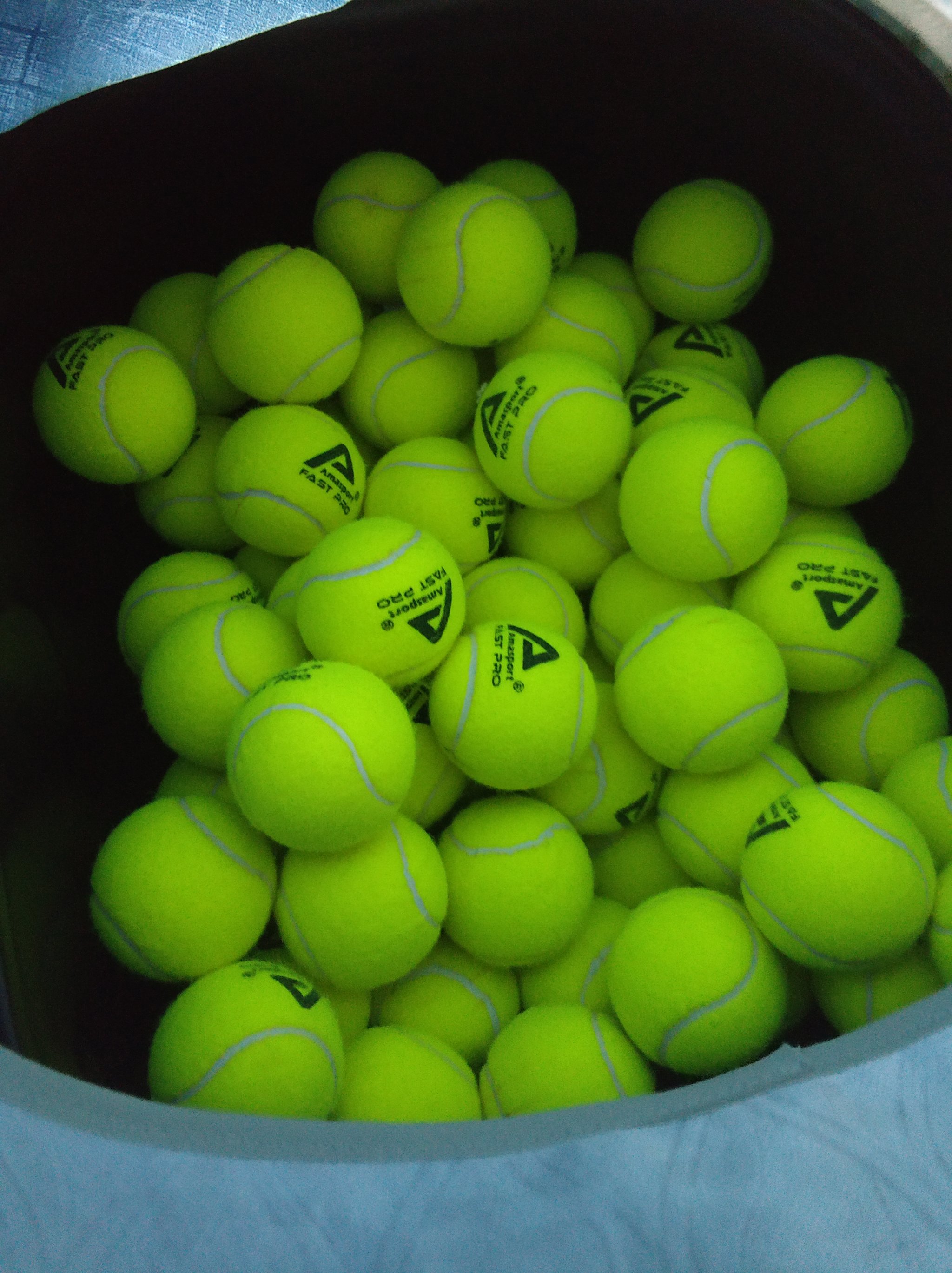 中提供了心 中提供了心