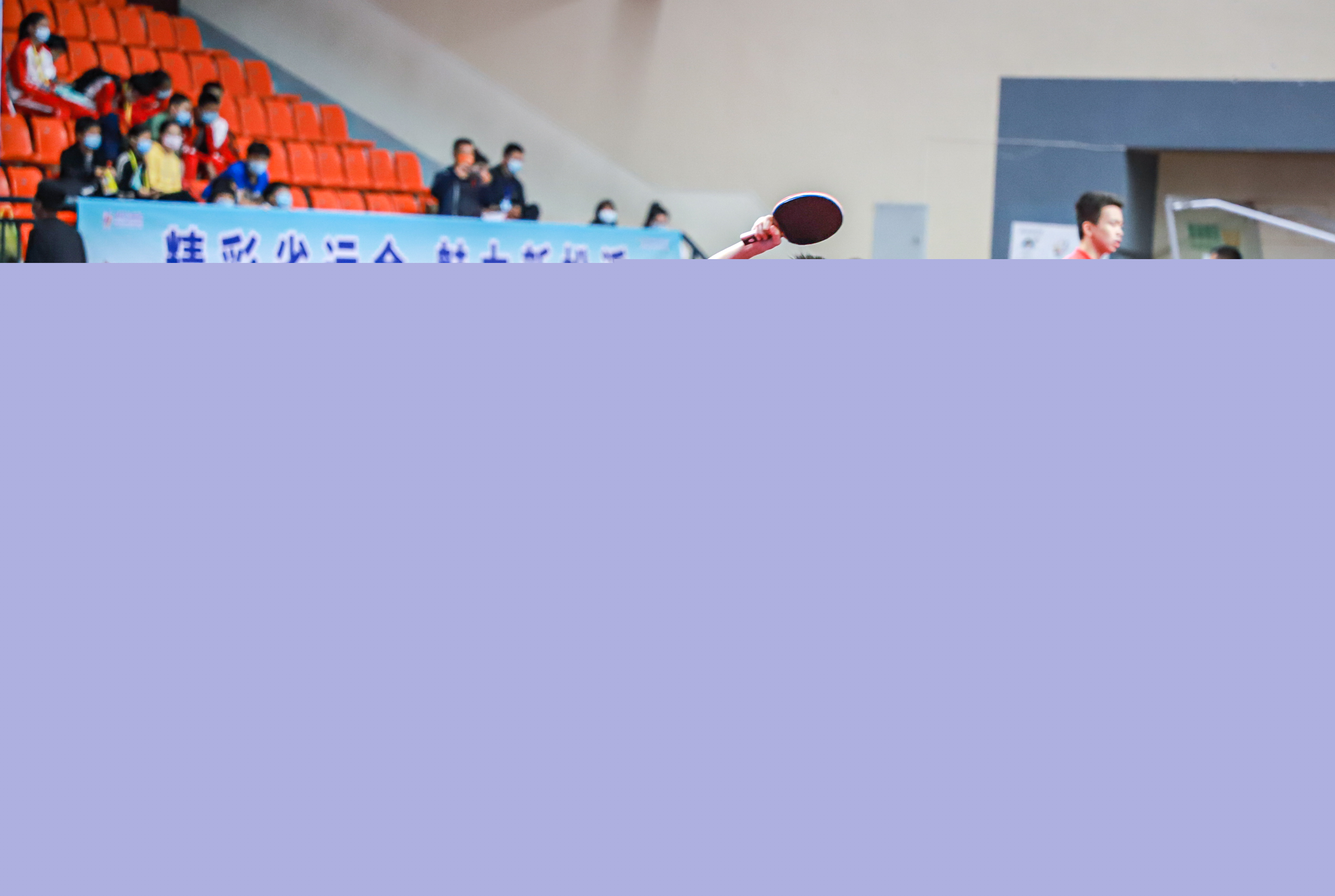 不仅展示了 不仅展示了